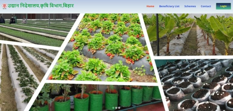 Chhat Par Bagwani Yojana 2025: छत पर बागवानी के लिए सरकार दे रही है ₹7,500/- रुपये तक अनुदान, जानें आवेदन प्रक्रिया और पूरी जानकारी 2 Chhat Par Bagwani Yojana 2025 min 768x368 1